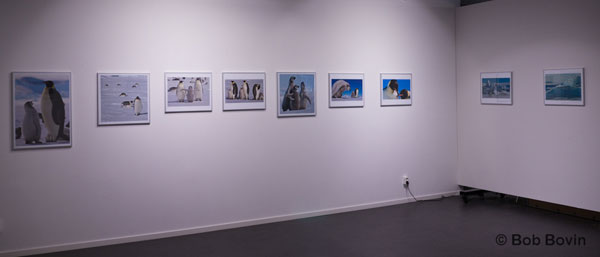 Photo Exhibition in Malmö